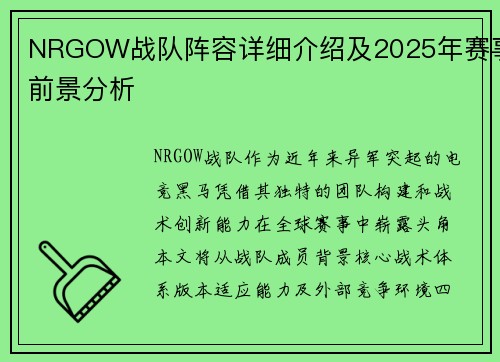 NRGOW战队阵容详细介绍及2025年赛事前景分析